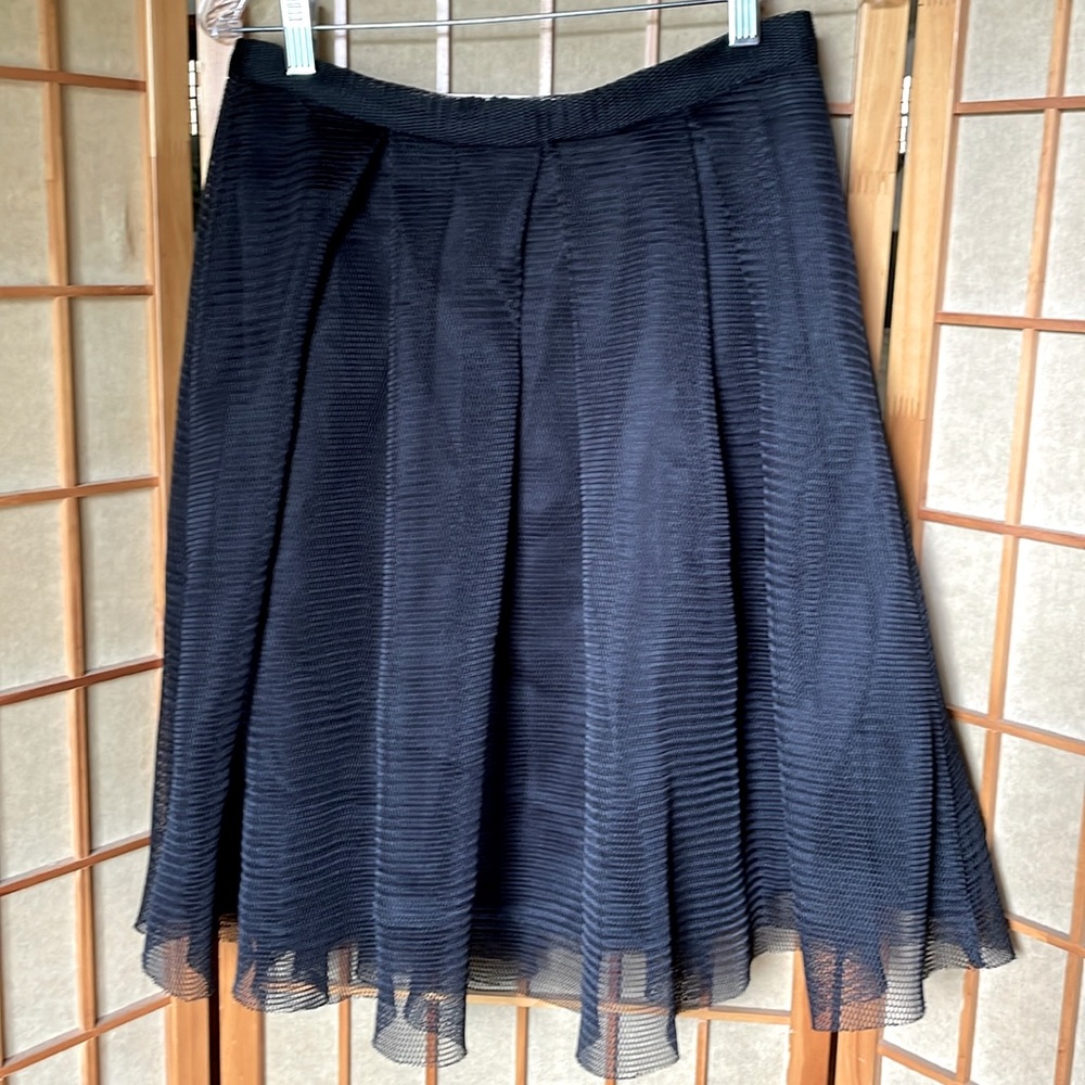 Forever 21 Skirt Black Striped Mesh Full Skirt